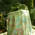 聖宝寺の写真_193051