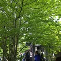 NASU SHOZO CAFEの写真_193163