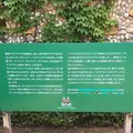 那須ステンドグラス美術館の写真_193180