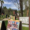 アジアンオールドバザールの写真_193190