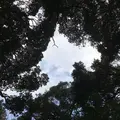 打吹公園の写真_193352