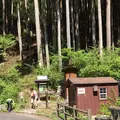 川苔山の写真_193696