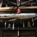今代司酒造の写真_193875