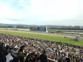 京都競馬場の写真_19424