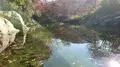 嵐山渓谷の写真_194282
