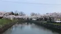 五稜郭公園の写真_194550