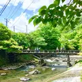 瑠璃光院の写真_194681