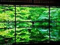 瑠璃光院の写真_194682