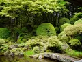 光前寺の写真_194767