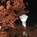 五稜郭公園の写真_194849
