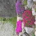 那須いちやホテルの写真_194917