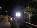 奥多摩橋の写真_195419