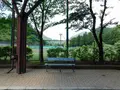 奥多摩総合運動公園の写真_195507