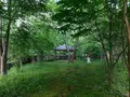 海沢公園の写真_195575