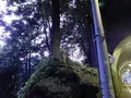 旧氷川トンネルの写真_195582
