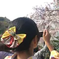 和装小袖の写真_195643