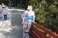 鶴岡八幡宮の写真_195667