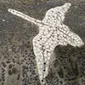 イギリス海岸の写真_195684