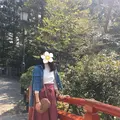 鶴岡八幡宮の写真_195688