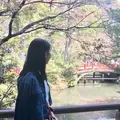 鶴岡八幡宮の写真_195689