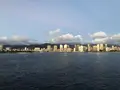 Star of Honoluluの写真_195722