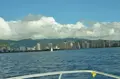 Hawaiian Parasailの写真_195733