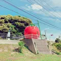 フルーツバス停の写真_195749
