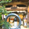 石手寺の写真_195975