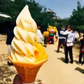 松山城の写真_196033