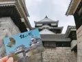 松山城の写真_196086
