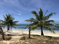 AQUA RESORT CLUB Saipan（アクア・リゾート・クラブ・サイパン）の写真_196134