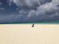 Manyagaha Island（マニャガハ島）の写真_196156