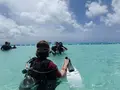 Manyagaha Island（マニャガハ島）の写真_196169