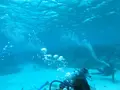 Manyagaha Island（マニャガハ島）の写真_196173