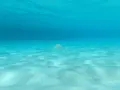 Manyagaha Island（マニャガハ島）の写真_196175