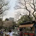 日比谷公園の写真_196275