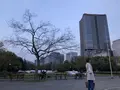 日比谷公園の写真_196276