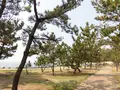 あらい浜風公園の写真_196329
