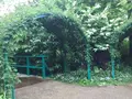 北川村「モネの庭」マルモッタンの写真_196712