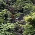 川越大師 喜多院の写真_196830