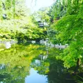 八坂神社の写真_196911