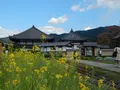 安居院（飛鳥寺）の写真_197427