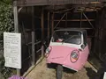 花のじゅうたんの写真_197516