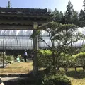永沢寺花しょうぶ園の写真_197522