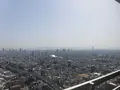 スカイビュッフェ51の写真_198188