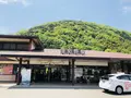 殿町掘割の写真_198499