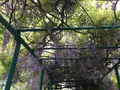 安芸市の写真_198575