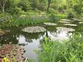 安芸市の写真_198576