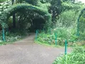 安芸市の写真_198579