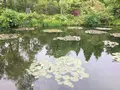 安芸市の写真_198581